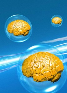 A0MRJY brains Gehirne